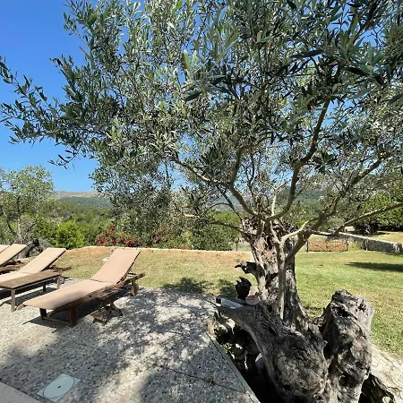 Guillo Villa Pollenca