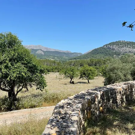 Guillo Villa Pollenca