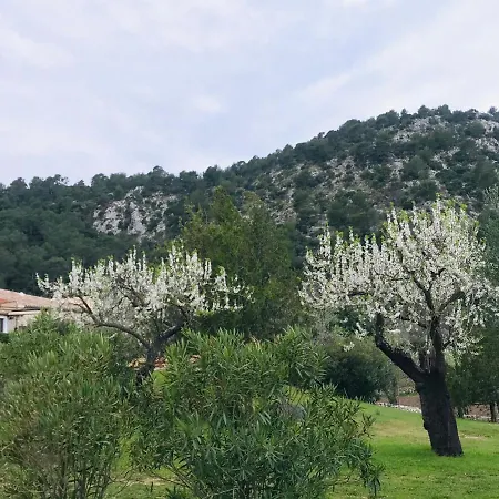 Guillo Villa Pollenca