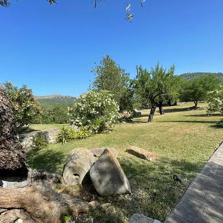 Guillo Villa *