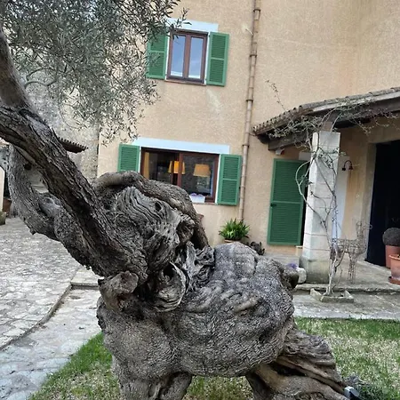 Guillo Villa