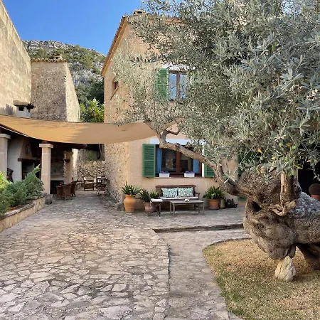 Guillo Villa Pollenca